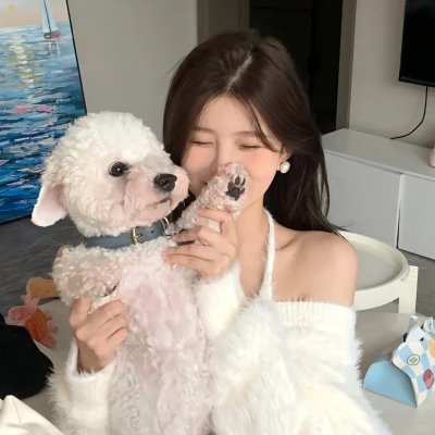 蚊子海岸第一季